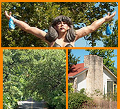 Pictures from the neighborhood